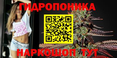 jwh Новодвинск