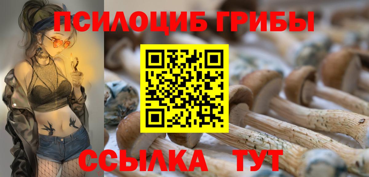 купить наркоту  Вход с VPN  Советск  Псилоцибиновые грибы прущие грибы 