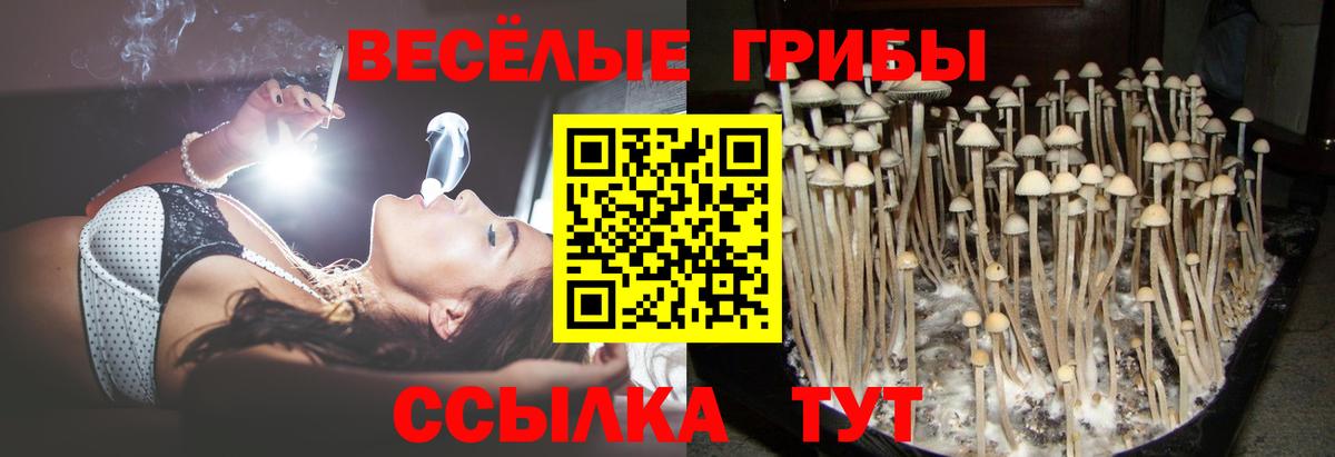 Псилоцибиновые грибы Советск
